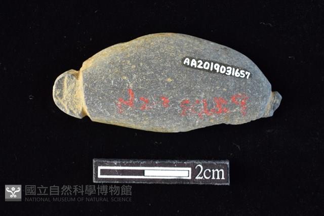 網墜藏品圖，第1張