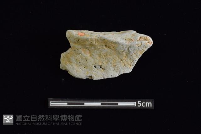 圈足藏品圖，第1張