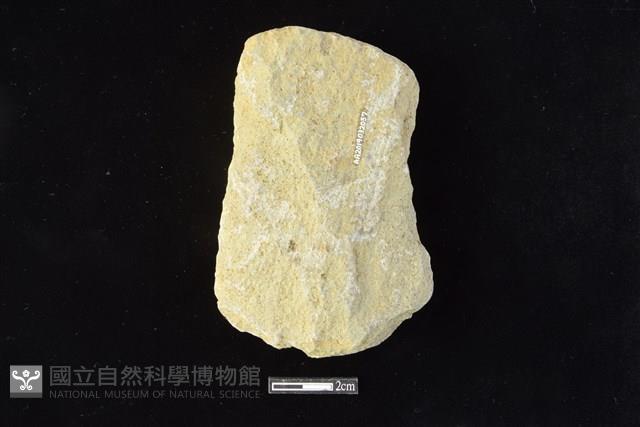 斧鋤形器藏品圖，第2張