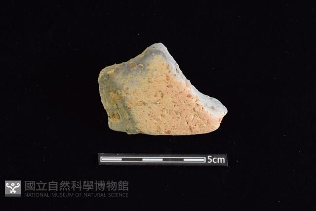 陶片藏品圖，第1張