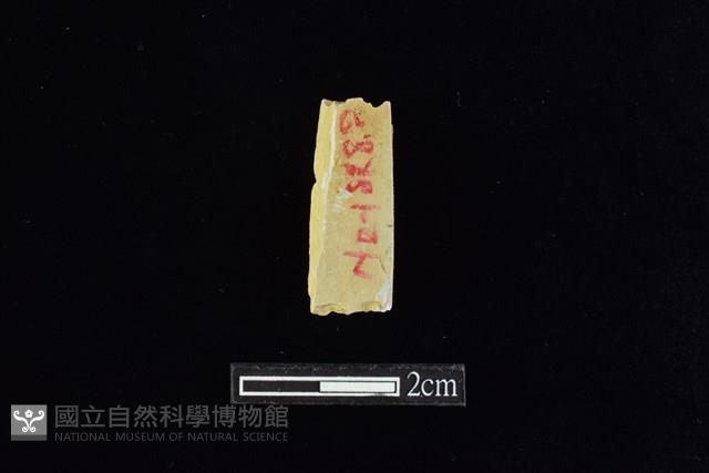 錛鑿形器藏品圖，第2張