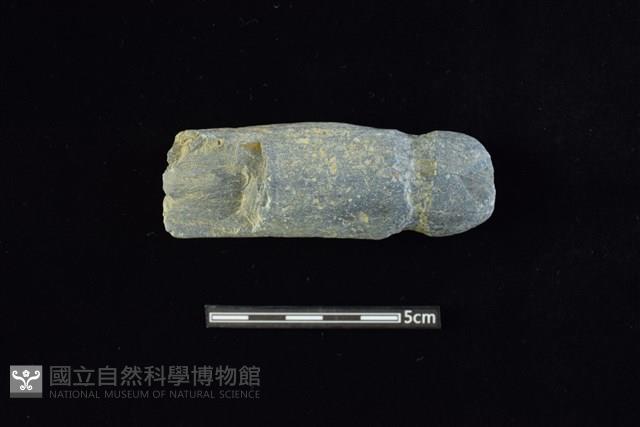 網墜藏品圖，第1張