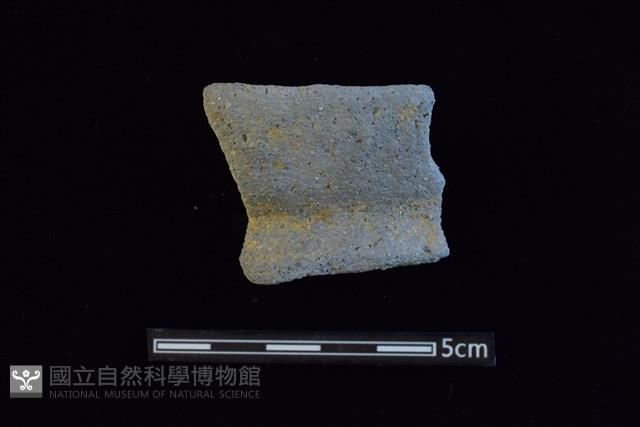 陶罐藏品圖，第1張