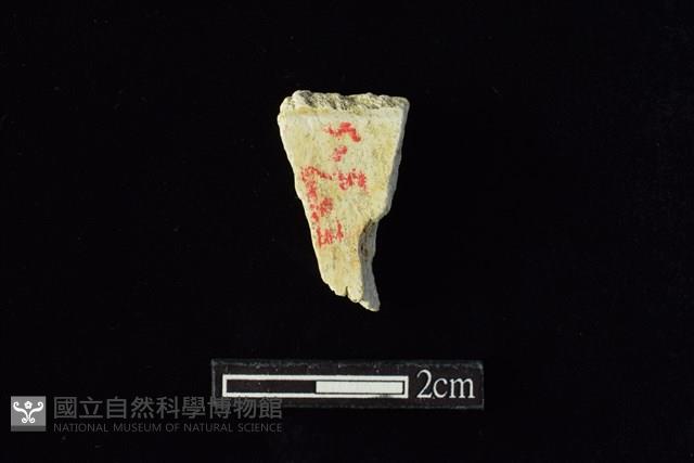 錛鑿形器藏品圖，第1張