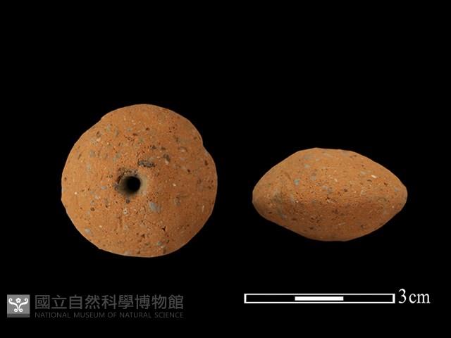 紡輪藏品圖，第1張