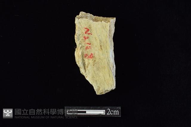 錛鑿形器藏品圖，第1張
