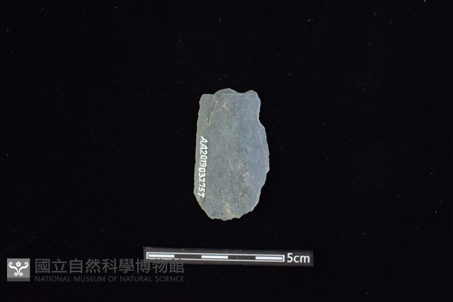 矛鏃形器藏品圖，第1張