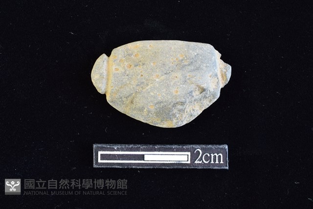 網墜藏品圖，第1張