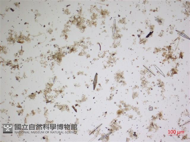 登錄號:A00004627藏品圖，第2張