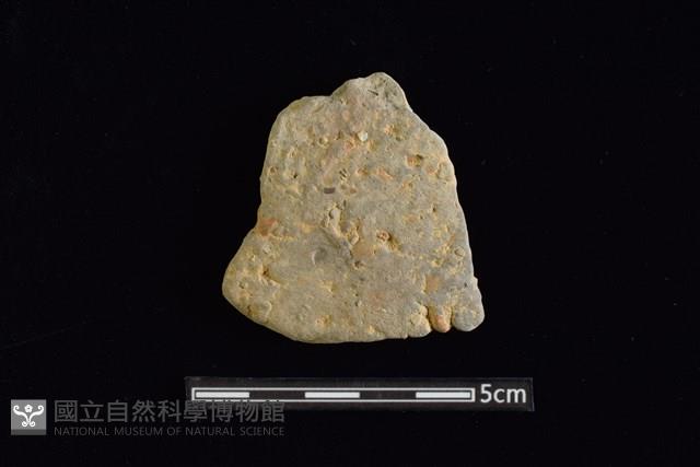 陶片藏品圖，第1張