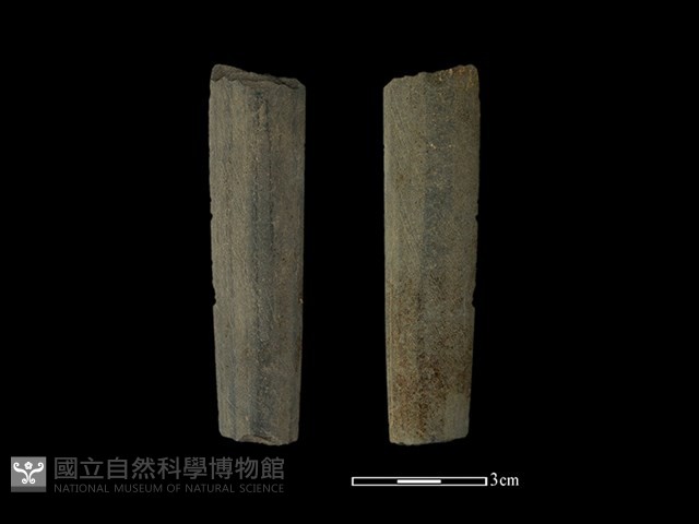 矛鏃形器藏品圖，第1張