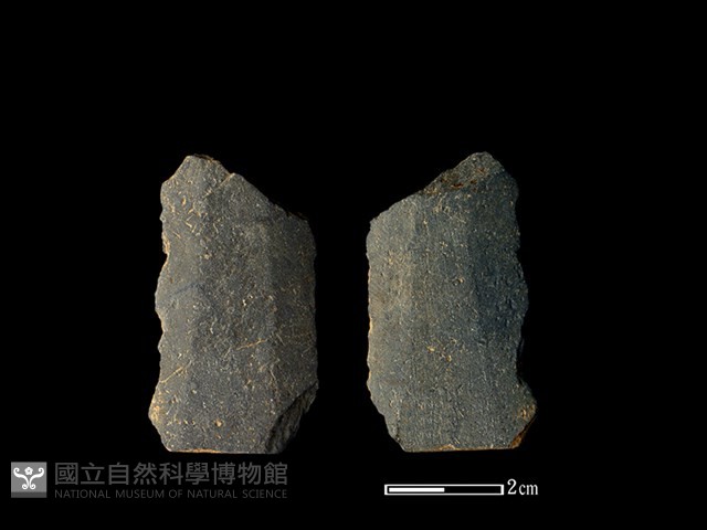 矛鏃形器藏品圖，第1張