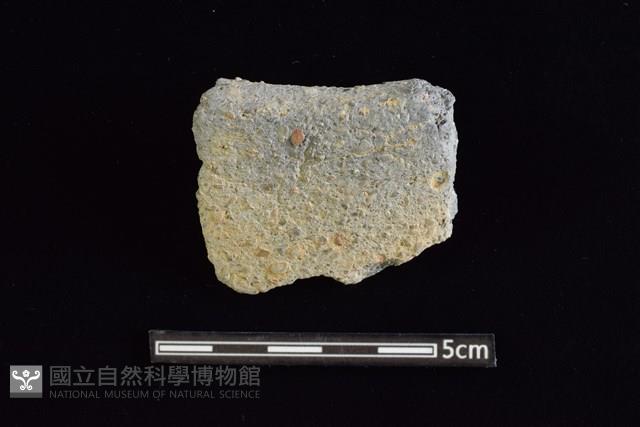 陶缽藏品圖，第1張