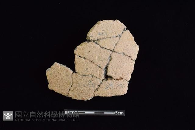 陶片藏品圖，第1張