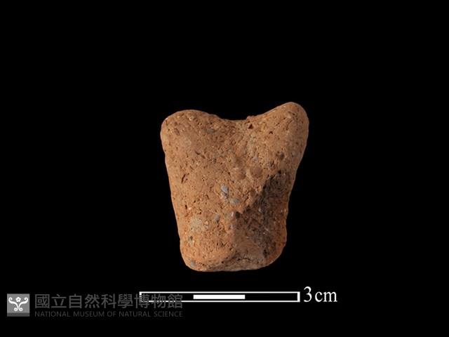 陶蓋鈕藏品圖，第2張