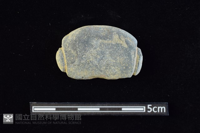 網墜藏品圖，第1張