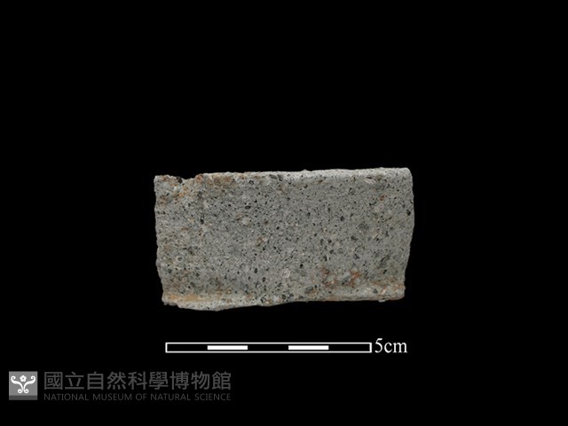陶罐藏品圖，第1張