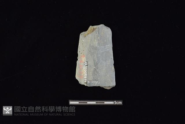 戈形器藏品圖，第1張