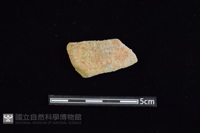 陶片藏品圖，第1張