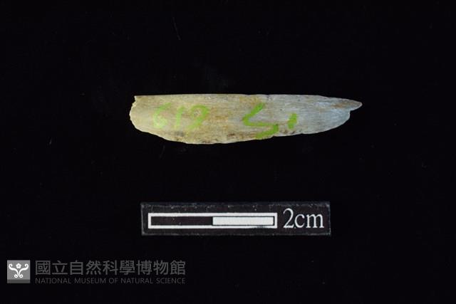 玉環藏品圖，第1張