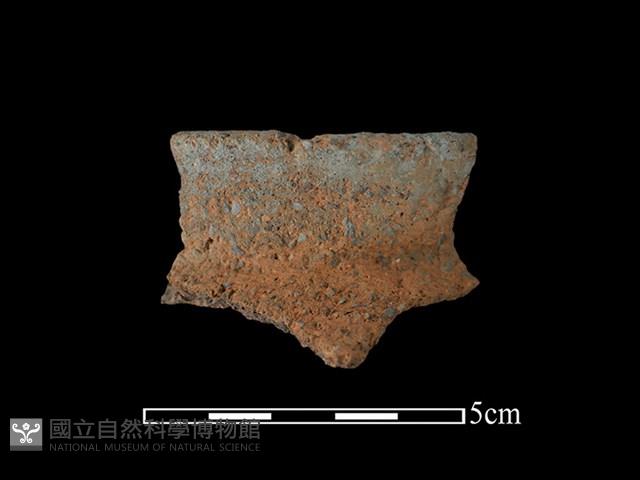 陶罐藏品圖，第1張