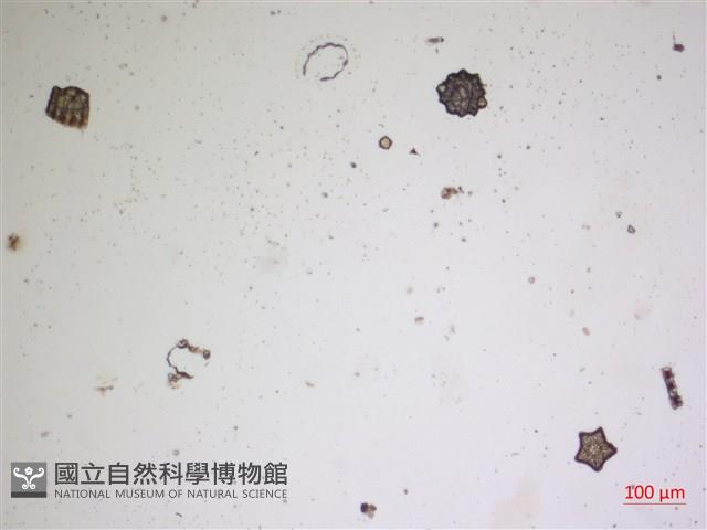 登錄號:A00004477藏品圖，第2張