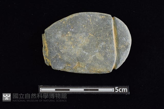網墜藏品圖，第1張