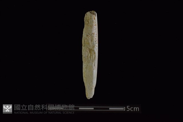 玉料藏品圖，第1張