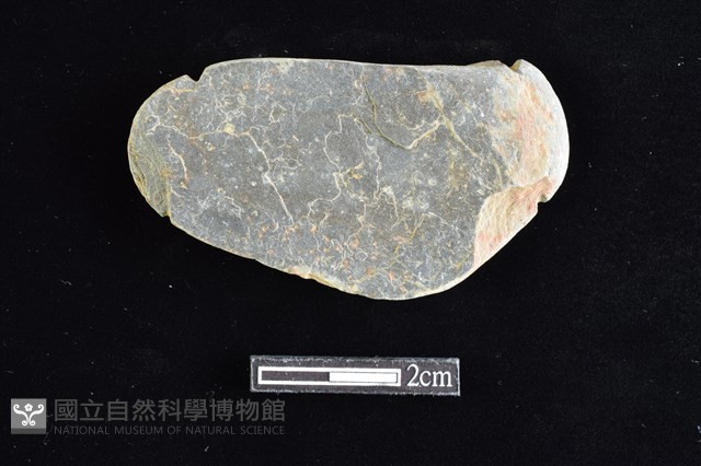 網墜藏品圖，第1張