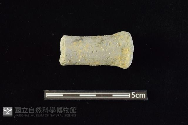 鼎足藏品圖，第1張