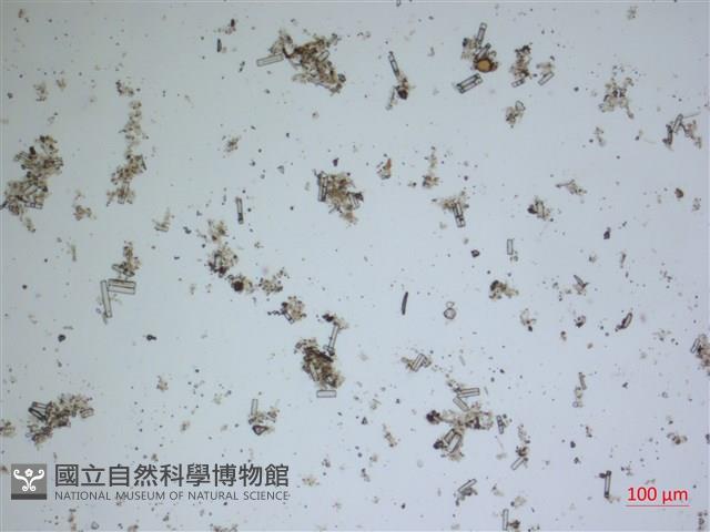 登錄號:A00004617藏品圖，第2張