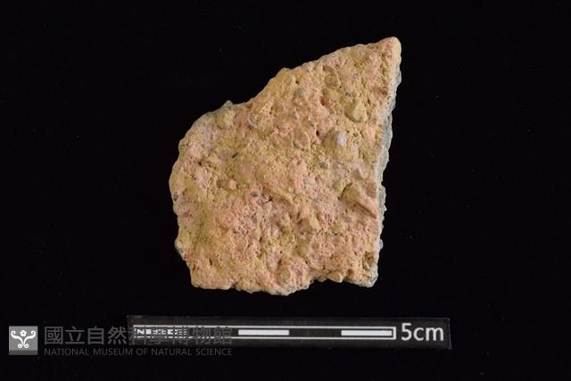 陶片藏品圖，第1張