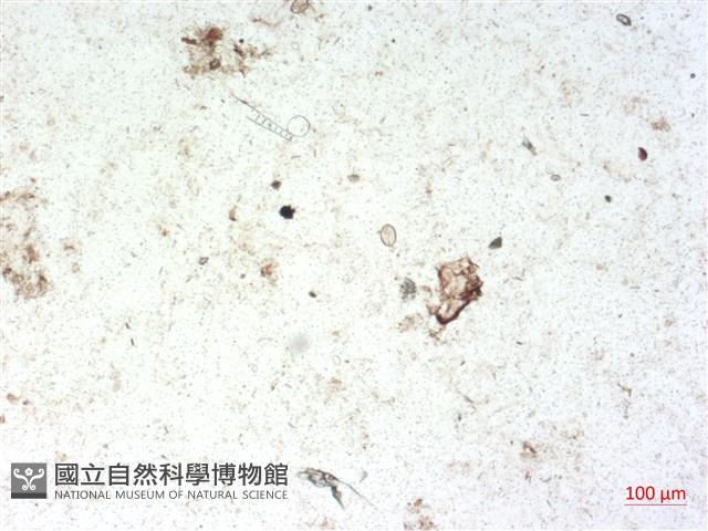 登錄號:A00004517藏品圖，第2張