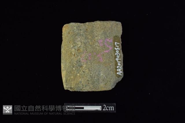 錛鑿形器藏品圖，第1張