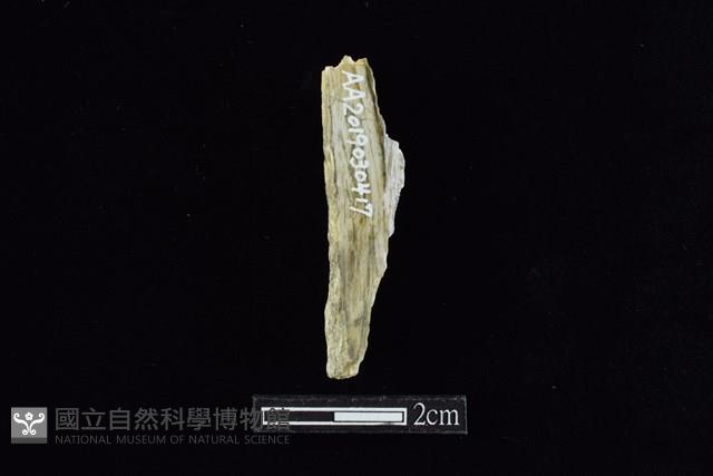 錛鑿形器藏品圖，第1張