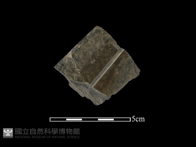 帶加工痕石材藏品圖，第1張