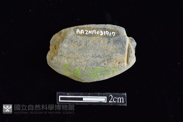 網墜藏品圖，第2張