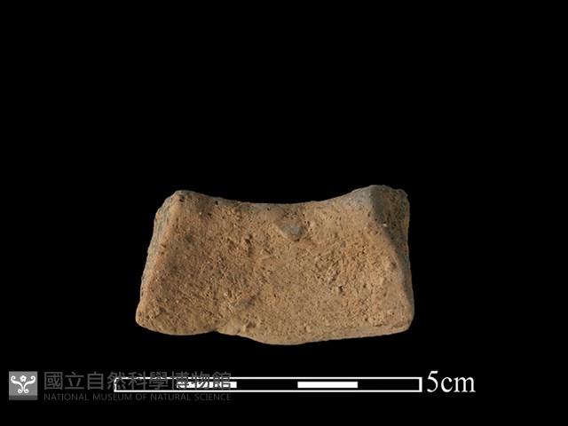 陶片藏品圖，第2張