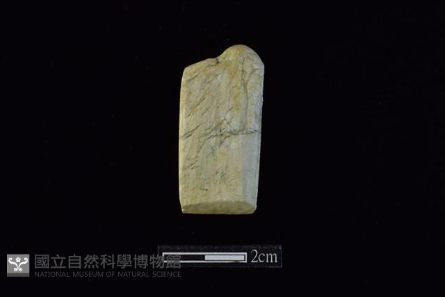 錛鑿形器藏品圖，第1張