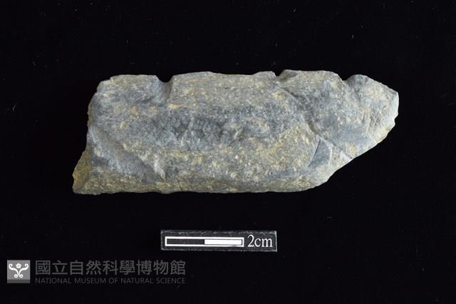 網墜藏品圖，第1張