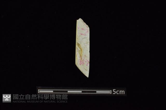 錛鑿形器藏品圖，第2張