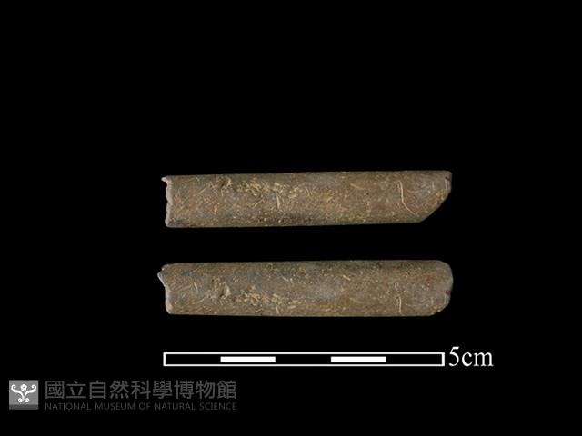 Accession Number:BY-2017-0297 Collection Image