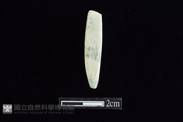 錛鑿形器藏品圖，第2張