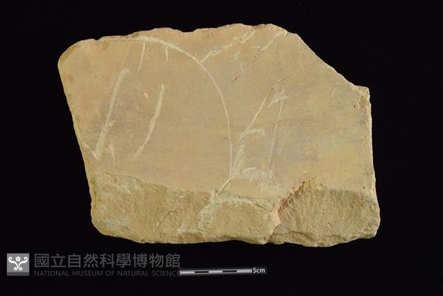 砥石藏品圖，第1張