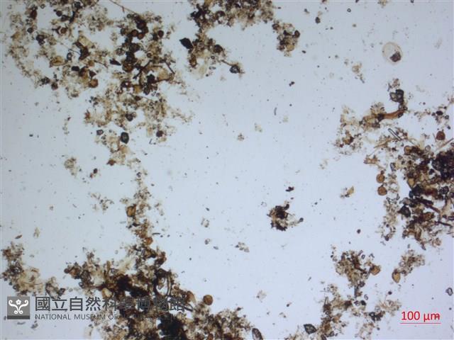 登錄號:A00004597藏品圖，第2張