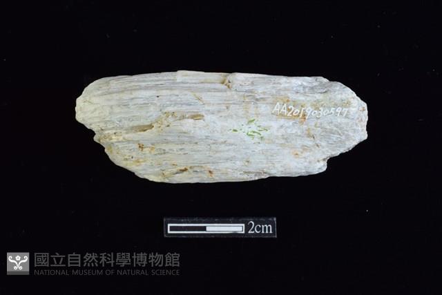 玉料藏品圖，第1張