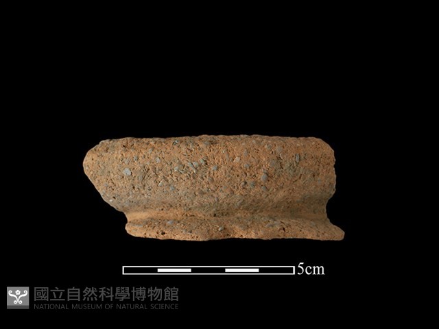陶罐藏品圖，第1張