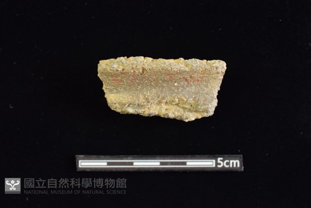 陶罐藏品圖，第1張