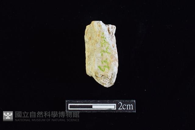 錛鑿形器藏品圖，第1張
