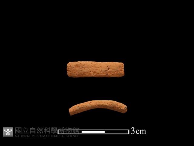 陶環藏品圖，第1張